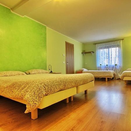 Bed and Breakfast Cip & Ciop Buia Номер фото